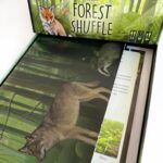 Forest Shuffle - immagine 3