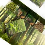 Forest Shuffle - immagine 4