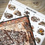 Gloomhaven - Jaws of the Lion - immagine 4