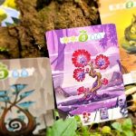 Treetopia - immagine 2