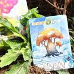 Treetopia - immagine 3