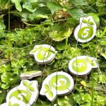 Treetopia - immagine 6