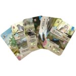 Forest Shuffle: Dartmoor - immagine 3