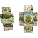 Forest Shuffle: Dartmoor - immagine 2